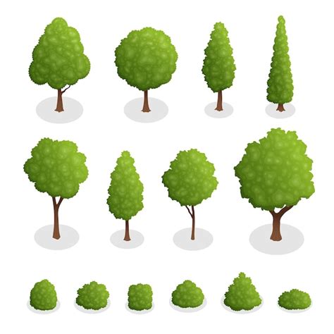 Premium Vector Isometric Set Of Park Plants 3d Green Trees And Bushes Of Various Shapes