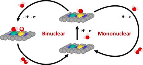 Computational Discovery Of Active And Selective Metal‐nitrogen‐graphene Catalysts For