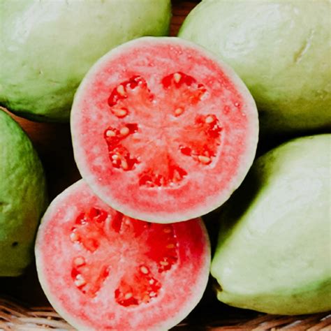 GUAVA NECTAR | Fragrance Oil - DOOP Fragrance Co.