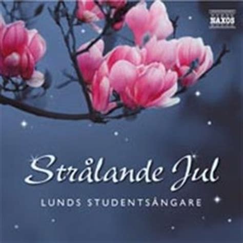 Arken Strålande Jul