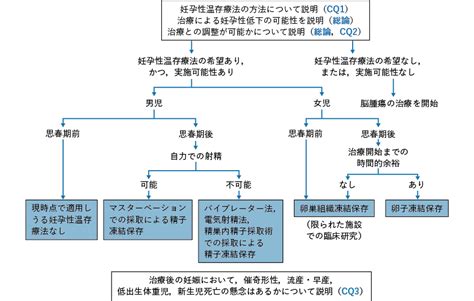 診療アルゴリズム がん診療ガイドライン 日本癌治療学会