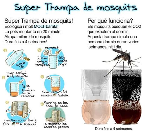 Como Matar Mosquitos Mosquitos Trucos De Limpieza Insecticida