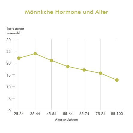 Testosteron Wirkung Was Ist Testosteron Prof Dr Sommer