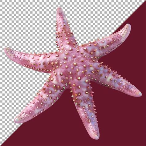 Premium Psd 3d Rendering Of A Pink Starfish On Transparent Background