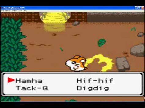 Let S Play Hamtaro Ham Hams Unite Part Our First United Ham Ham