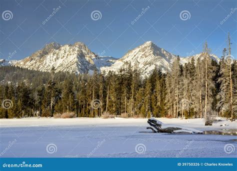 Lago E Floresta Pristine Bonitos Da Mostra Do Inverno Foto De Stock