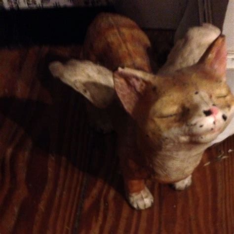 Stream Naked VHS Tape By Taodewedoat Listen Online For Free On SoundCloud