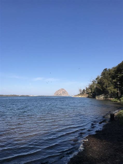 Morro Bay State Park