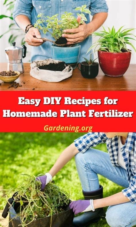 11 DIY Homemade Plant Fertilizers With Recipes Fertilizer For