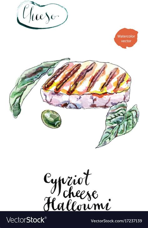 Watercolor Grilled Of Cypriot Halloumi Cheese Vector Image On