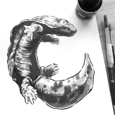 Hellbender salamander in India ink 🖤 : r/drawing