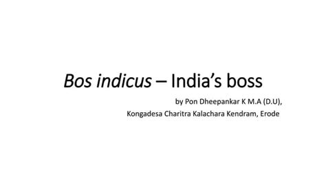 Bos indicus – india’s boss | PPT