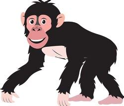 Free Chimpanzee Clipart Clip Art Images Vector Graphics Page