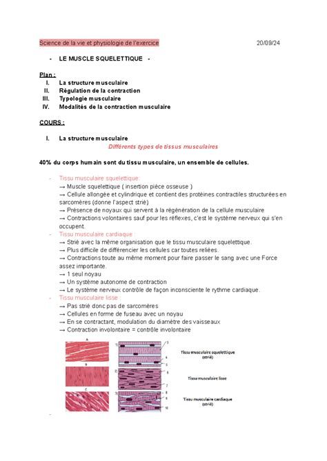 Cm Physiologie De L Exercice Science De La Vie Et Physiologie De L