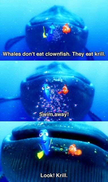 Whale Eating Krill Finding Nemo