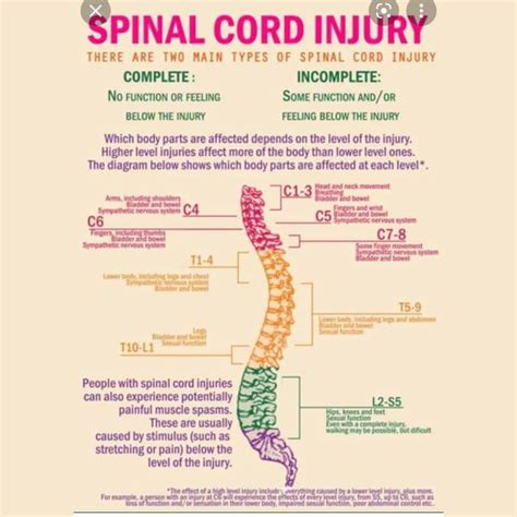 Spinal Cord Injury Levels