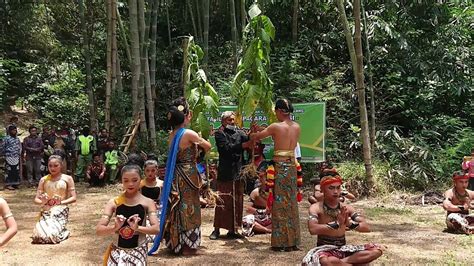 UNIK TRADISI PERNIKAHAN TEMBAKAU LERENG GUNUNG SUMBING MERTI