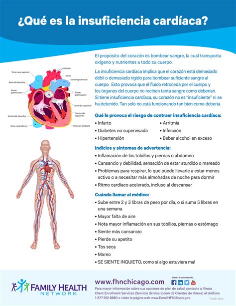 Qu Es La Insuficiencia Card Aca
