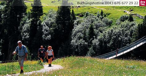 Almen Statt Palmen Sommer In Den Bergen