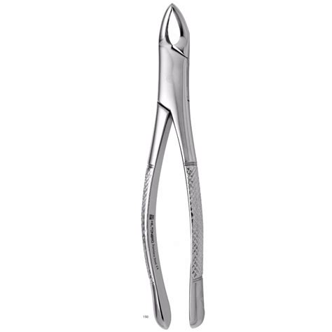 Extracting Forceps American Pattern Forceps No 150 Hiltonbro