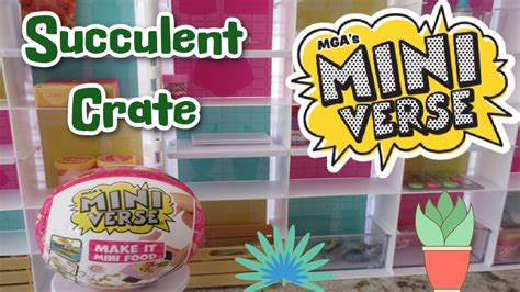 Miniverse Make It Mini Lifestyle Succulent Crate Plants YouTube