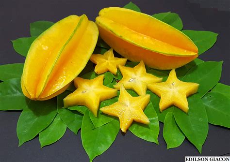 Viveiro Ciprest Plantas Nativas E Exóticas Carambola Doce De Minas