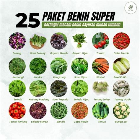 Jual 25 Paket Benih Sayuran Super Paket Benih Sayuran Lengkap Hemat