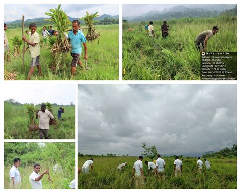 elephant habitat restoration | The Shillong Times