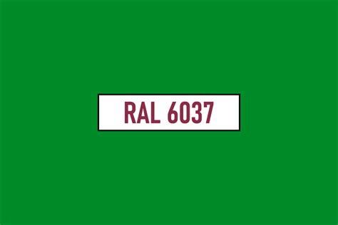 RAL 6037 - Zielony czysty (Pure green)