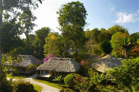 Recharge Your Mind, Body, and Soul with a Belize Jungle Vacation