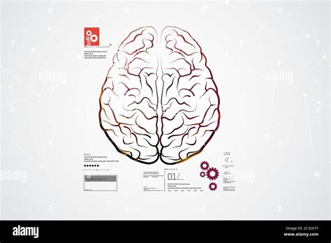 human brain structure stock photo alamy