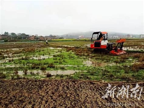 乡镇｜冷水滩区杨村甸乡：春耕正当时 翻耕土地抢时节 乡镇单位 新湖南