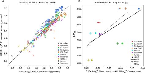 A Comparison Of Esterase Activity Towards 4 Methylumbelliferyl