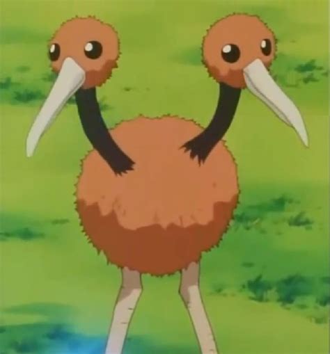 64 best Doduo images on Pinterest | Hilarious, Hilarious stuff and ...