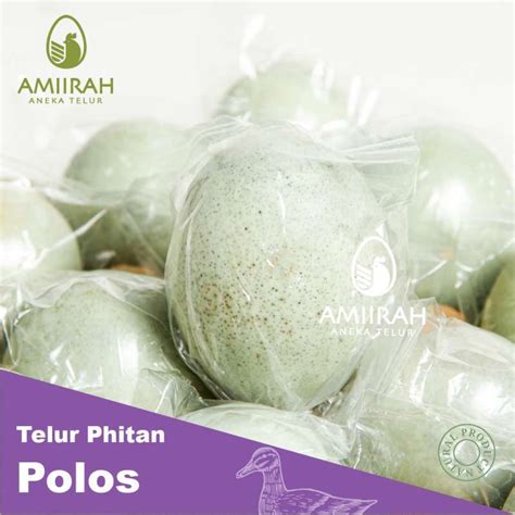 Promo Telur Pitan Telur Bebek Phitan Polos Per Butir Halal Diskon