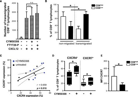 Frontiers Enhanced Cxcr4 Expression Of Human Cd8low T Lymphocytes Is