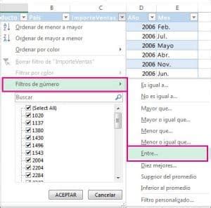 Como Filtrar En Excel Por Nombre Doncomo