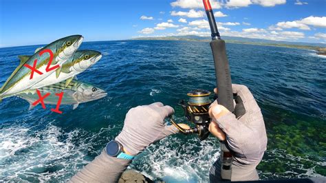 Kingfish off the Cliff South of Sydney - 磯釣り - YouTube