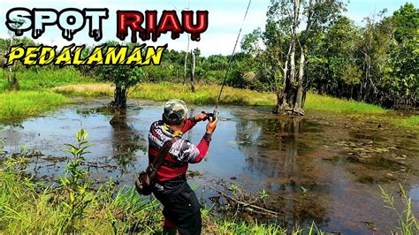 MANCING IKAN GABUS DISPOT IDAMAN STRIKE BABON MASIH PEDALAMAN