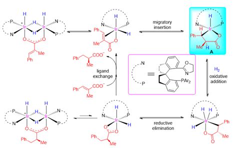 铱催化剂催化的不饱和羧酸不对称氢化机理研究 X Mol资讯