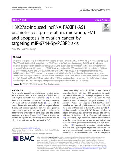 Pdf H K Ac Induced Lncrna Paxip As Promotes Cell Proliferation