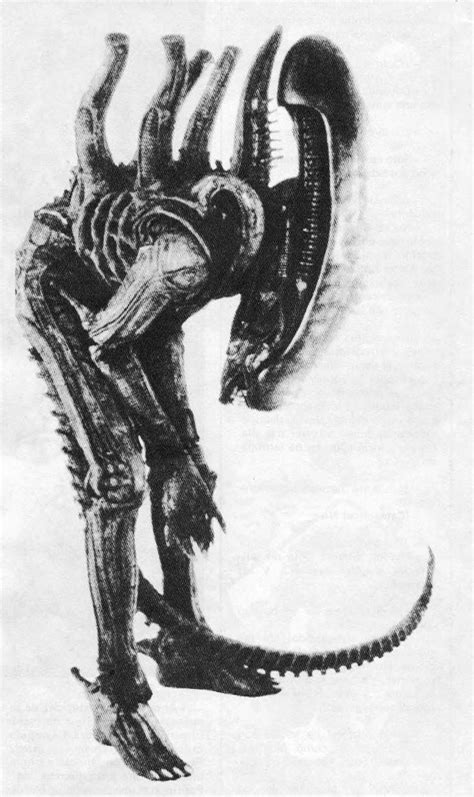 Xenomorphs On Tumblr