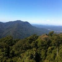 Dorrigo National Park Skywalk - Scenic Lookout