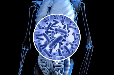 Microbiome faecal transplants