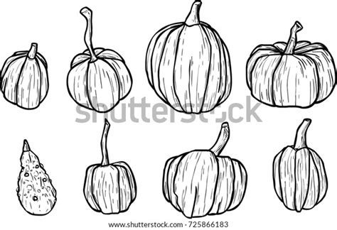 Set Hand Drawn Vector Pumpkins Outline Stock Vector Royalty Free