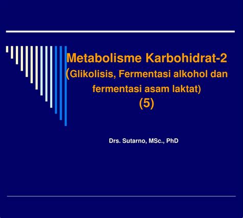 Ppt Metabolisme Karbohidrat 2 Glikolisis Fermentasi Alkohol Dan Fermentasi Asam Laktat 5