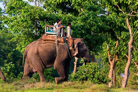 Complete Travel Guide To Chitwan National Park