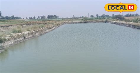 Waterlogging In Five Acres Of Land The Farmer Digs Up The Soil And