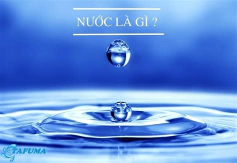 Nước là gì? Tính chất và vai trò của nước [BẠN NÊN BIẾT]