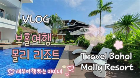 Vlog 보홀여행몰리리조트 Travel Bohol Molly Resort Youtube